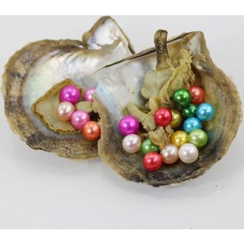 Random Mix Colors Akoya Round Twins Pearls in Saltwater Oysters 6-7MM AAA Double Pearls Akoya Oysters Wholesale 20pcs/lot FP359