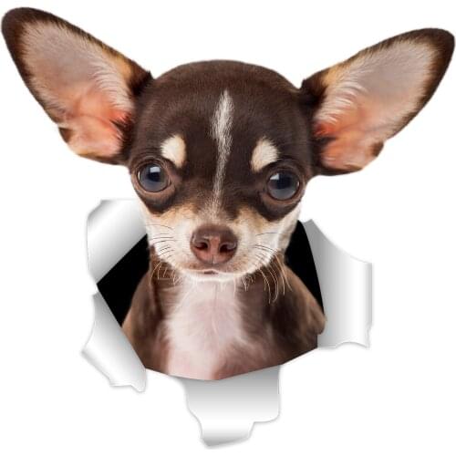 Three Ratels 3DChihuahuas Dog Stickers Super Staffie decal on Wall Fridge Toilet car bike