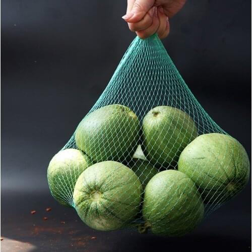 100/200Pcs Durable Grocery Mesh Bag Onion Potato Watermelon Organizer Container Tote Net Hand Totes Nylon Mesh Food Bag