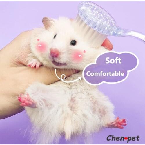 1pc Bear Hamster Golden Hair Comb Vacuum Cleaning Supplies Rabbit Totoro Guinea Pig Beauty Hair Comb Small Pet Accessories