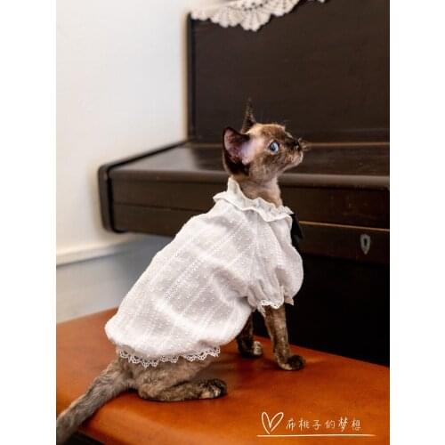 Devon cat dress hairless cat summer baby shirt bubble sleeves bow black and white crash shirt