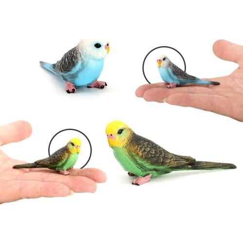 Creative Simulation Budgerigar Birds Animals Action Figure Toys Animal Model Figure Toys For Kids Animal Budgerigar Model Doll