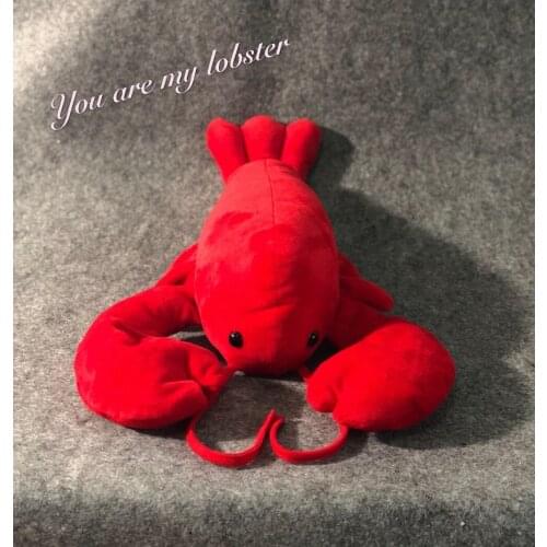 New Zippered Pillow Cushion 17 Inch For Friends You Are My Lobster
