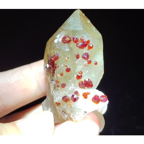 25.5gNatural high quality wine red garnet and crystal home decoration energy healing round vein teaching mineral specimen