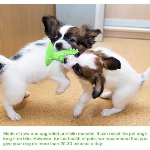 Hot Sale Pet Dog Chew Toys Rubber Bone Toy Aggressive Chewers Dog Toothbrush Doggy Puppy Dental Care For Dog Pet Accessories