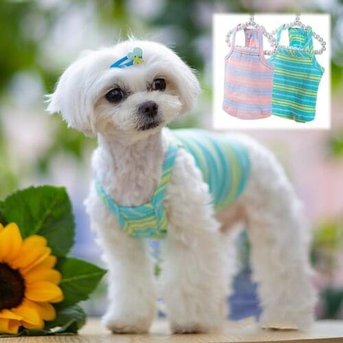 Short Style Dog Vest Skirt Chihuahua Clothes Summer Dog Clothing Cat Corgi Terrier Yorkshire Pomeranian Puppy Small Dog Costume