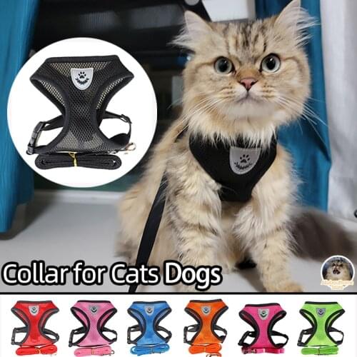 Strap Style Dog Collar for Cats Lead Dog Leash Chien Harness Seresto Pet Accessories Dog Collar for Cat Harness Cats Pet Seresto