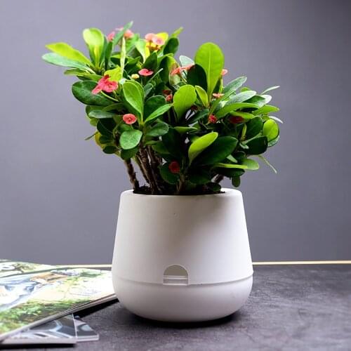 Stylish Automatic Water-absorbing Lazy Flower Pot Plastic Self-watering Flower Pot Home Office Desk Decoration Pure Color Pot