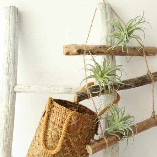 Artificial Plants Bromeliad Green Bonsai Home Decoration DIY Plastic Fake Plant Wall Accessories Desktop Beautiful Fake Flowers