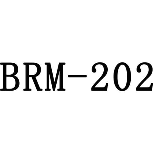 Leather Men Casual Shoes New 2019 Hollow Outs Breathable Shoes Male Footwear BRM-202