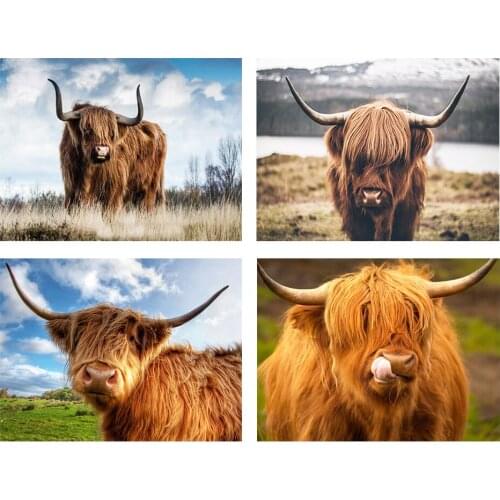 5D DIY Diamond Painting Animal Highland Cow Diamond Embroidery Picture Square/Round Rhinestone Mosaic Home Decoration Painting