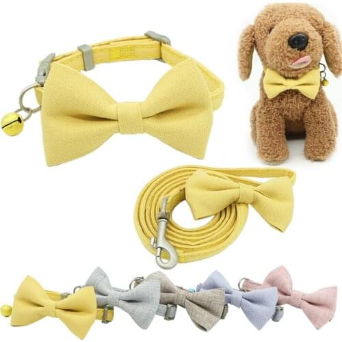 ZICHEN Collars