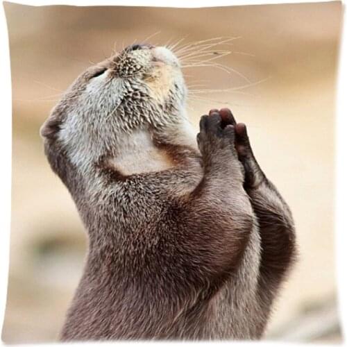 Sea Otter Pattern Square 18X18inch Sofa Decorative Throw Pillow Case Home Cotton Line Cushion cojines Covers