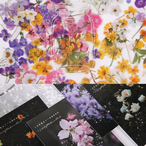 40 Pcs/set Shimmering Series Creative Sticker Pack PET Kawaii Decorative Natural Stickers Plants Flower Scrapbooking Statio C1G2