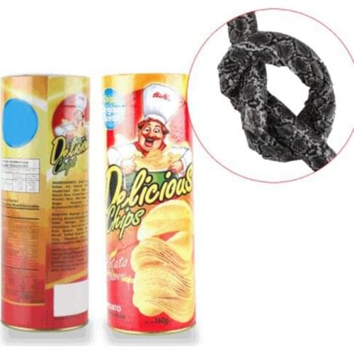 Funny Potato Chip Can Jump Spring Snake Roach Toy Gift April Fool Day Halloween Party Decoration Prank Trick Fun Joke Toys