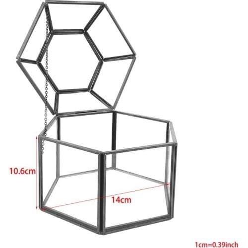 Clear Glass & Brass-Tone Metal Hinged Top Lid Terrarium Box/Tabletop Display Case