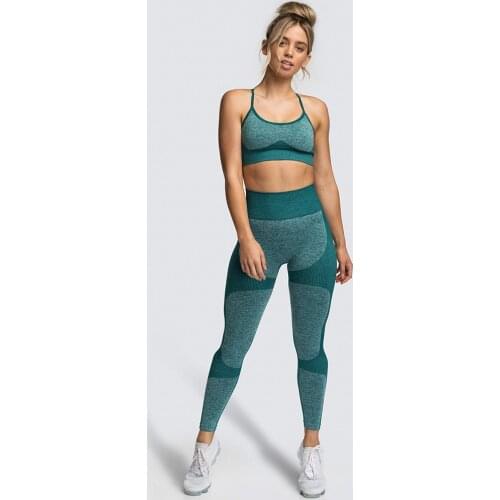 New Two pcs Set Yoga Vest Suit Women Seamless Sports Running Fitness Bra High Waist Leggings Suit Tracksuit Workout Gym Clothes