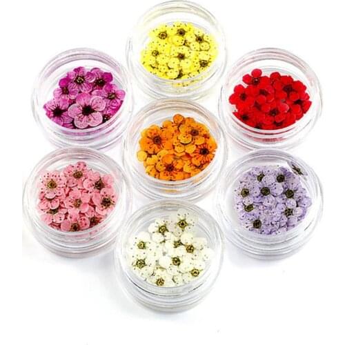 Newly 20Pcs 8mm Lace Pressed Flowers Dried Flowers Epoxy Resin Nail Art Embossed Jewelry Accessories