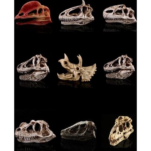 Resin Tyrannosaurus Skull Skeleton Head Figurine Sculpture Dinosaur Craft Statues Decoration Halloween Home Decoration Gift