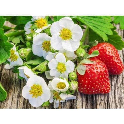 A39725 11CT/14CT/18CT/25CT/28CT oil scenery patterns Counted Cross Stitch DIY Cross Stitch Kits Embroidery Needlework Sets