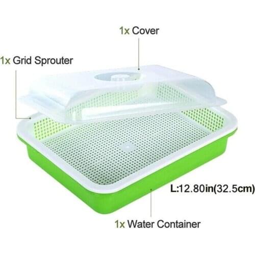 Green Seed Sprout Planting Plate With Cover Pea Bean Germination Systems Wheatgrass Tray Seedling Home Hydroponic Sprouter