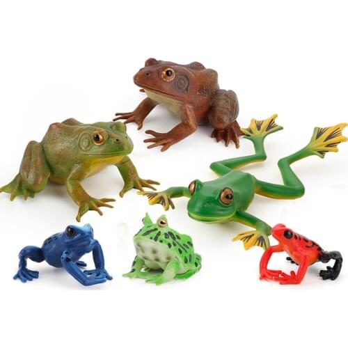 Colorful Soft vocal frog simulation amphibian model toy frog model toad childrens cognitive toy