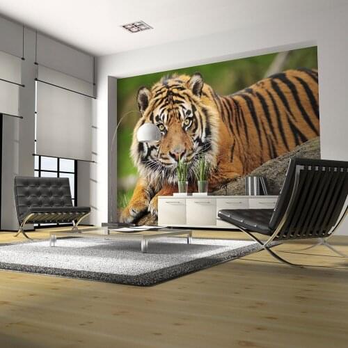 Wall mural-Sumatran tiger-400x309 cm
