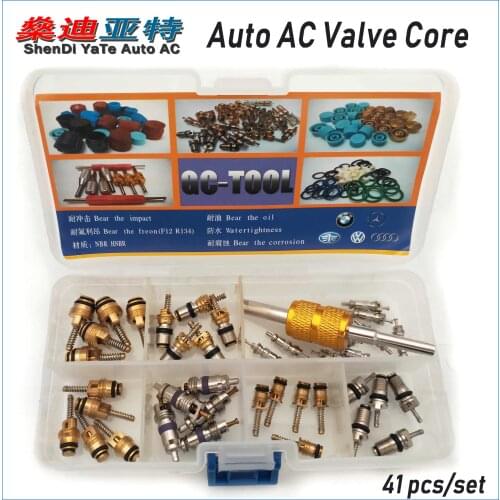 ShenDi YaTe Auto AC A/C R134a R12 Air Conditioning Valve Core gas needle for Bmw VW Benz Jetta Buick Car Auto AC pipe