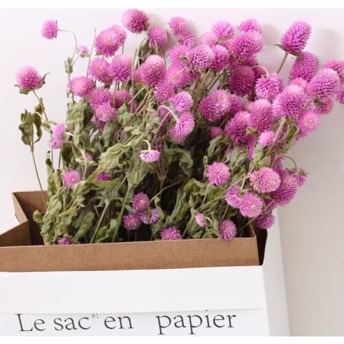 45 Head Globe Amaranth Dried Flower Bouquet Rose Pink Purple Gomphrena Globosa Pressed Flowers for Home Wedding Party Decoration