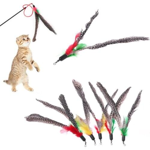 5Pcs/Set Handmade Natural Feather Cat Toy Bird Refills Interactive Teaser Sticks Chew Rod Replacement Pet Supplies