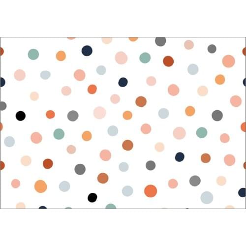 Modern Nordic style Polka Dot Pattern Simple Floor Mat Door Mat Anti-slip Mat Carpet Bedroom Living Room Home Decoration