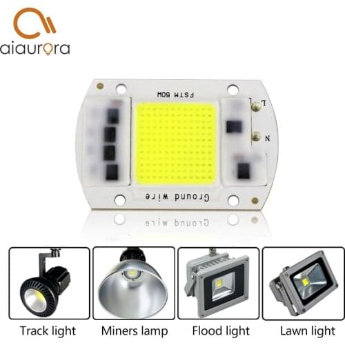 1pcs Led Lamp Cob Chip Beans AC 220V Led Bulb SMD Smart IC 20W 30W 50W DIY Spot lamp Outdoor FloodLight White / Warm White Light
