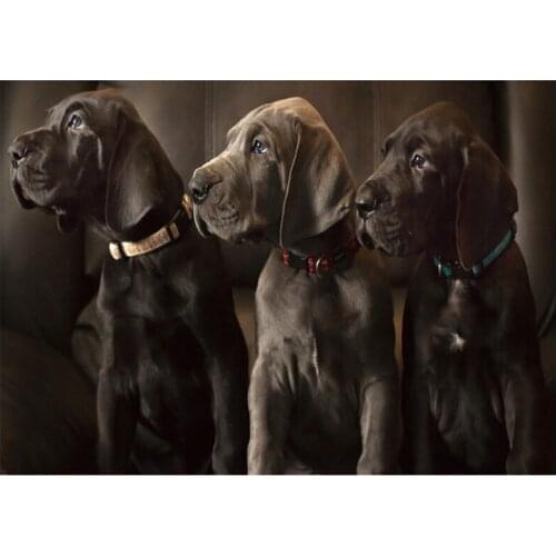 5D Diy Diamond Painting Cross Stitch Great Dane full square Diamond Embroidery mosaic puzzles New year DecorationZP-1710