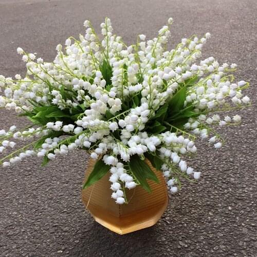 6Pcs/lt Nice White Lily Of The Valley Flower plants Indoor Rare Bell Orchid plants Rich Aroma Bonsai Flowers Beautiful Plants