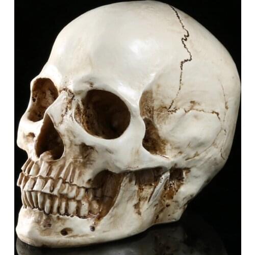 Halloween toys simulation 1:1 human skull terrorist resin skulls ghost cranium Skull Heads Crossbones Skulls