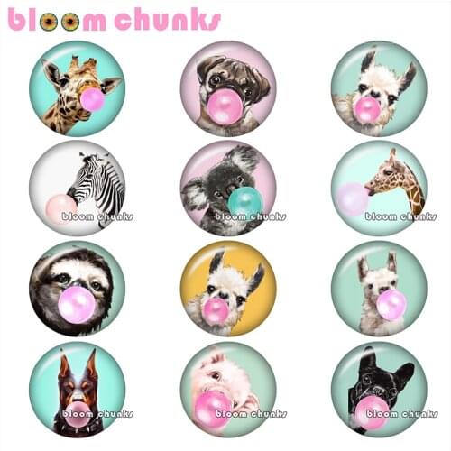 Ballon animals deer dog sloth pig Round photo glass cabochon demo flat back Making findings 12mm/18mm/20mm/25mm A8249