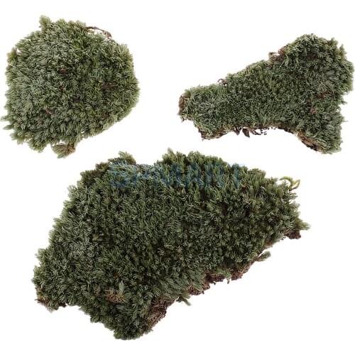 Green Lichen Moss Model Layout for 1/35 Scale Military Armor Landscape Props