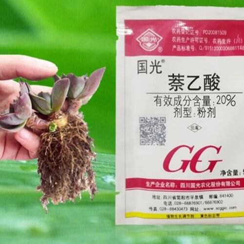 10g naphthylacetic acid Regulator Promote Plant Growth Recovery Germination Vigor Aid Fertilizer Hormone Bonsai Garden