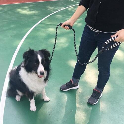 Dog Reflective Nylon Walking Leash Double Soft Handle Traction Rope Pet Supply Adjustable Teddy Shopping Anti-bite Traction Belt