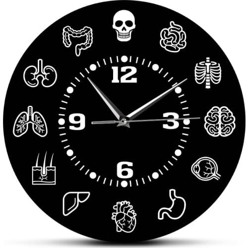 Anatomical Medical Wall Art Silent Sweep Wall Clock Human Body Internal Organs Anatomy Wall Clock Doctors Biology Student Gift
