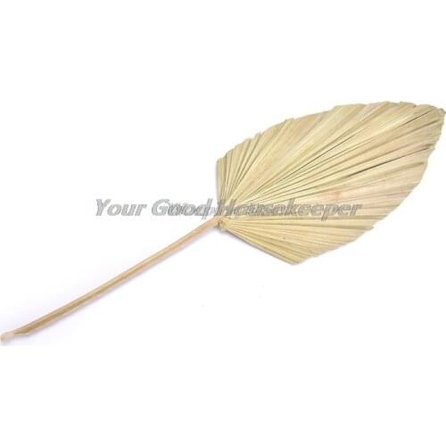 1pc Dried Flower Natural Pu Fan Leaf For DIY Home Shop Display Decoration