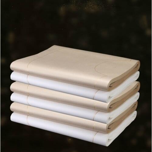 100 Sheets Fan-shaped Xuan Paper Raw Rice Paper For Chinese Calligraphy Paper Antique Papel Arroz for Beginners Brush Writing