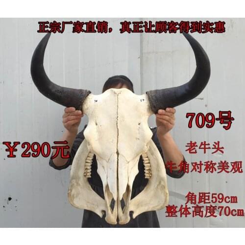 Head Arts Crafts The bone ornaments handicrafts sheep bone specimens handicraft Tau