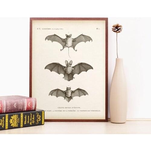 Canvas Painting Vintage Bat Print Halloween Wall Art Antique Bat Animal Poster Picture for Living Room Home Decor