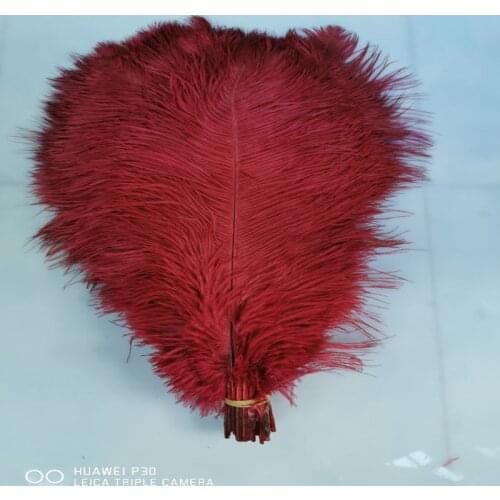 Ostrich feathers Wholesale Wine red ostrich feathers 12-14 inch 100PCS / pieces wedding party dress headdress decoration