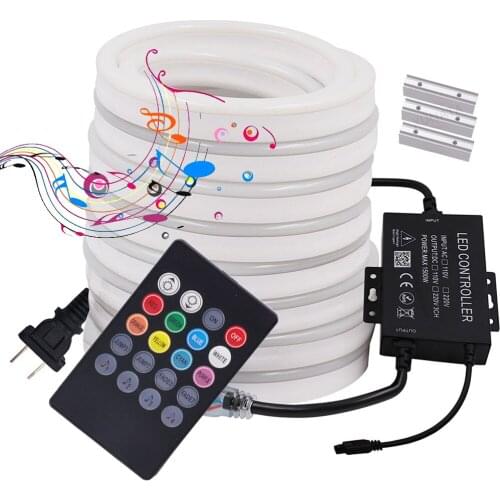 RGB Neon Light Waterproof Ribbon Led Strip Light 2835 5050 120Leds/m Bluetooth Music Neon Flex Rope Light AC220V 110V Led Tape