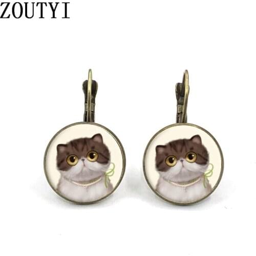 2019 new / glamorous fashion cute glasses cat photos, convex glass inlaid earrings, ladies wear earrings jewelry gifts