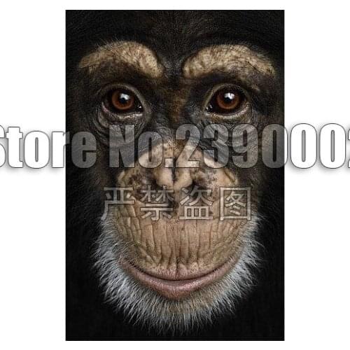 5D Diy Diamond Embroidery Monkey Face Animal Diamond Painting Cross Stitch Full Square Drill Diamond Painting Home Mosaic Deco