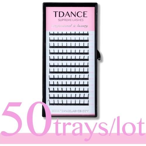 TDANCE 50Trays/lot Premade Spikes Volume Fans Individual Wispy Fluffy Eyelashes 3D Mink Natural Professional Extension Makeup