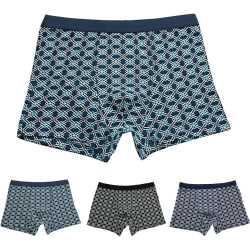 Mens Boxer Shorts Mens Boxers Panties Man Underwear Men Underpants Calecon Homme Cotton Boxer shorts 2020 Brand Sexy